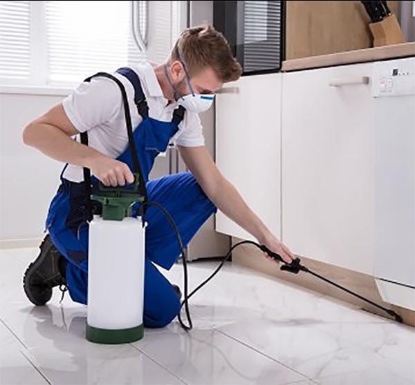 κατσαριδες στο σπιτι